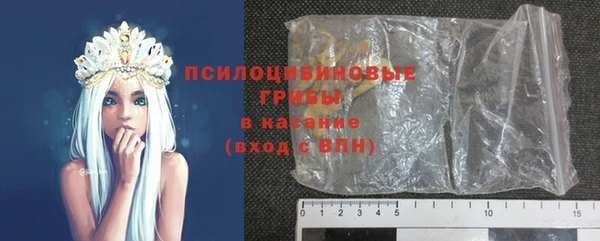 гидра Алексин