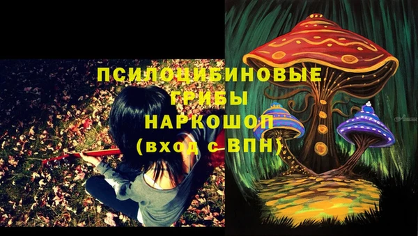 apvp Остров