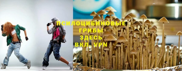 гидра Алексин